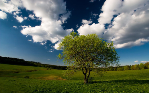 459821 (a): :1920x1200
